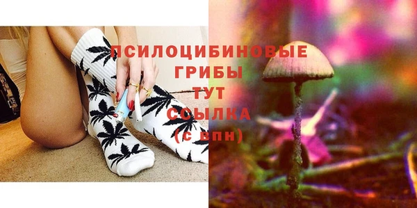 твердый Нязепетровск