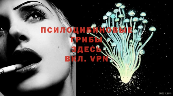 кокаин премиум Няндома
