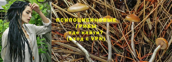 твердый Нязепетровск
