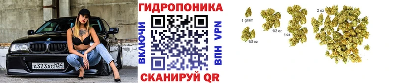 Марихуана план  Игарка 